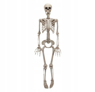 DEKORÁCIA NA SKELET SKELETON HALLOWEEN 90 CM